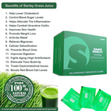 Sante Barley Powder With Stevia - 3g x 10 Sachets