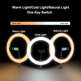 Ring Fill LED Selfie Beauty Light 26CM DX-260