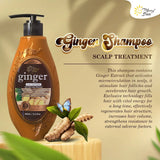 MerrySun Anti-hair Loss Ginger Shampoo - 400ml