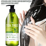 TWG Refreshing & Fluffy Tea Tree Conditioner - 800ml