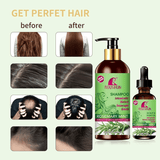 Roushun Rosemary Mint Hair Shampoo & Hair Oil - 500ml + 60ml (Combo)