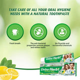 Dabur Herbal Intense Fresh Gel Toothpaste With Tooth Brush Free - 150g
