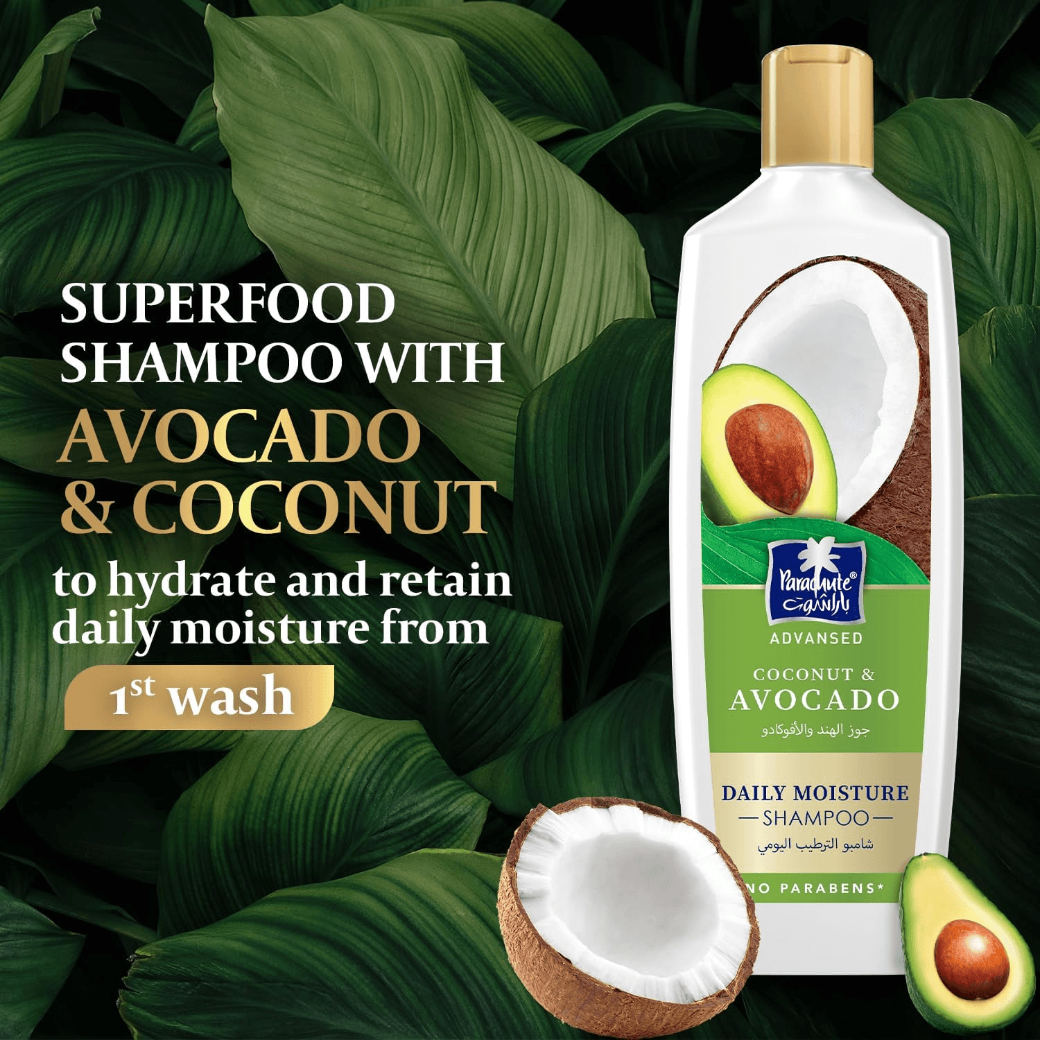 Parachute Advansed Coconut & Avocado Daily Moisture Shampoo - 340ml