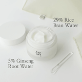 Beauty of Joseon Dynasty Cream - 50ml