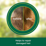 Palmolive Naturals Argan Oil Repair Shampoo - 380ml