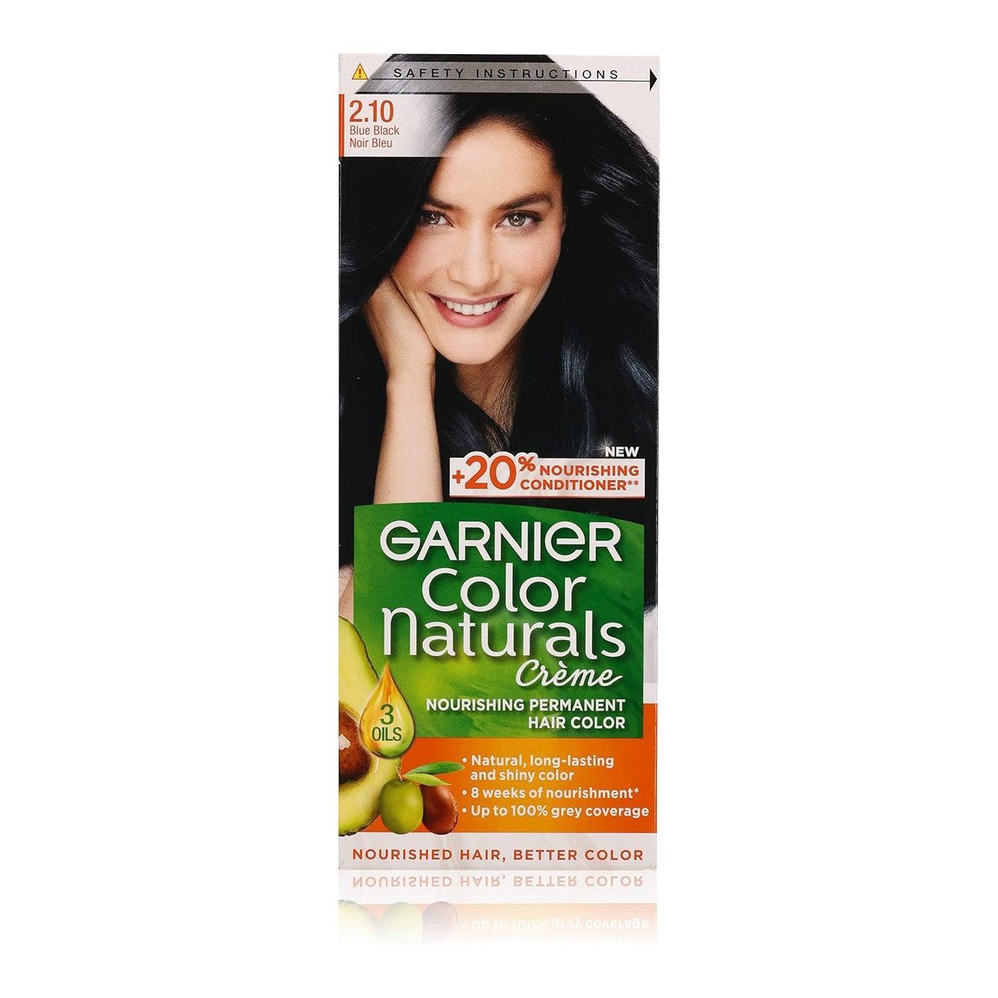 Garnier Color Naturals 2.10 Blue Black - Pinoyhyper