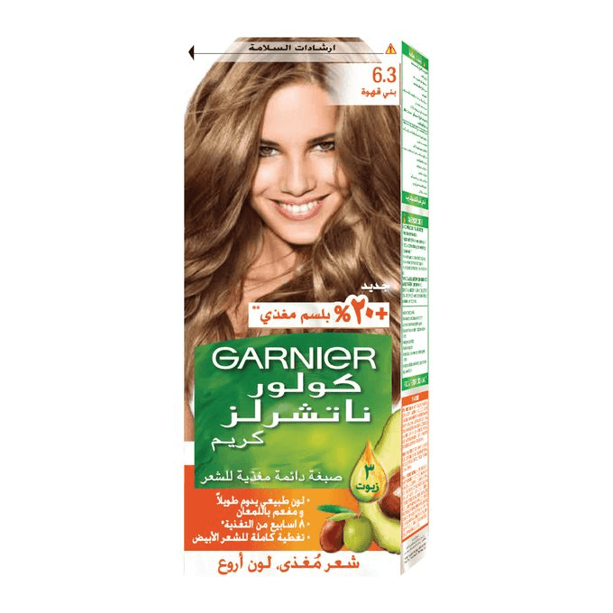 Garnier Color Naturals 6.3 Mocca - Pinoyhyper