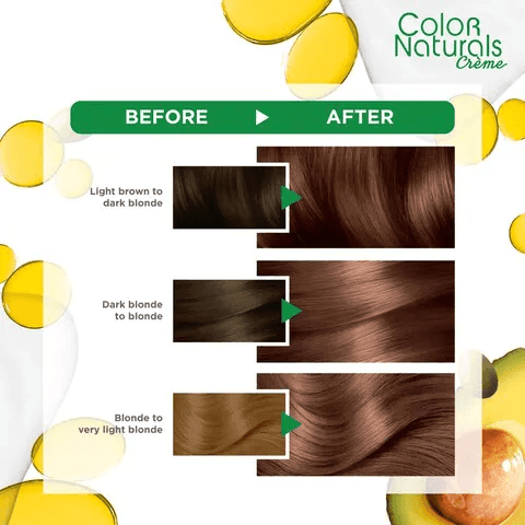 Garnier Color Naturals 7.7 Deer Brown - Pinoyhyper