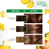 Garnier Color Naturals 7.7 Deer Brown - Pinoyhyper