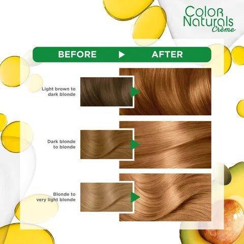 Garnier Color Naturals Creme 7.3 Hazel Blond - Pinoyhyper