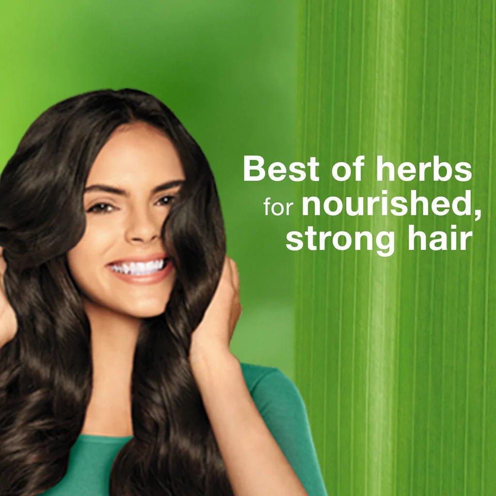 Himalaya Smooth And Silky Moisturizing Shampoo (Avocado) - 400g - Pinoyhyper