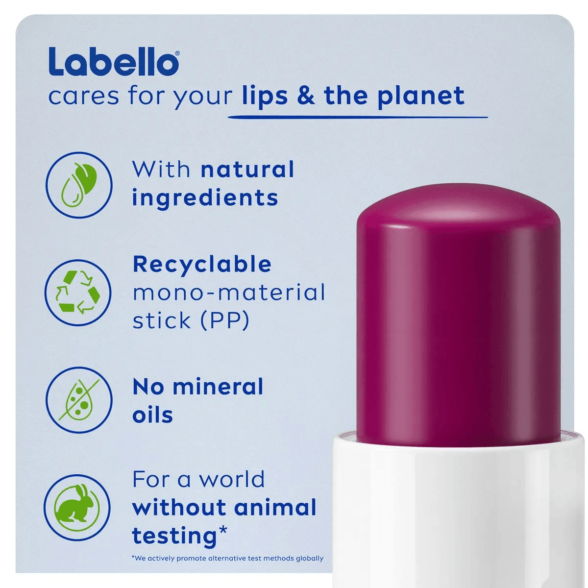 Labello Lip Care Blackberry Shine 4.8g - Pinoyhyper