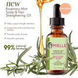 Mielle Organics Rosemary Oil Mint Scalp and Hair Strengthening Oil - 59ml - Pinoyhyper