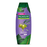 Palmolive Naturals Silky Straight Shampoo + Conditioner - 180ml x 2Pcs (Offer) - Pinoyhyper