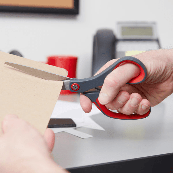 Pointed Tip Precision Scissors (21cm) - 1 Pcs - Pinoyhyper