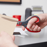 Pointed Tip Precision Scissors (21cm) - 1 Pcs - Pinoyhyper