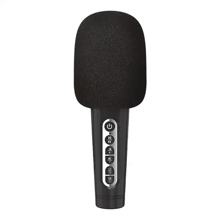 Wireless Bluetooth Karaoke Microphone Loud Speaker - C200 - Pinoyhyper